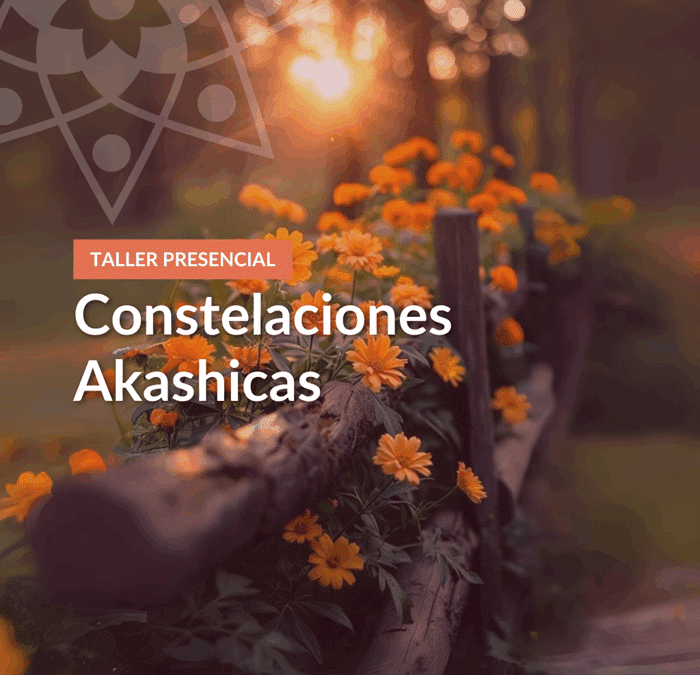 Constelaciones Akashicas 8/11